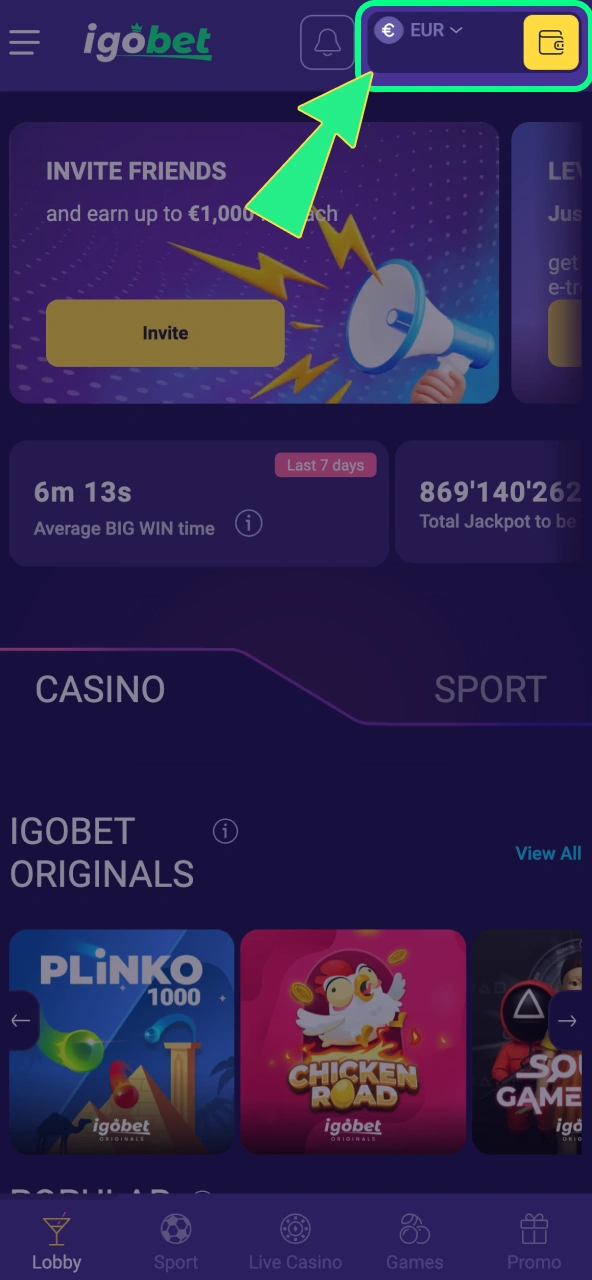Betaalopties verschijnen meteen op de IgoBet kassapagina.