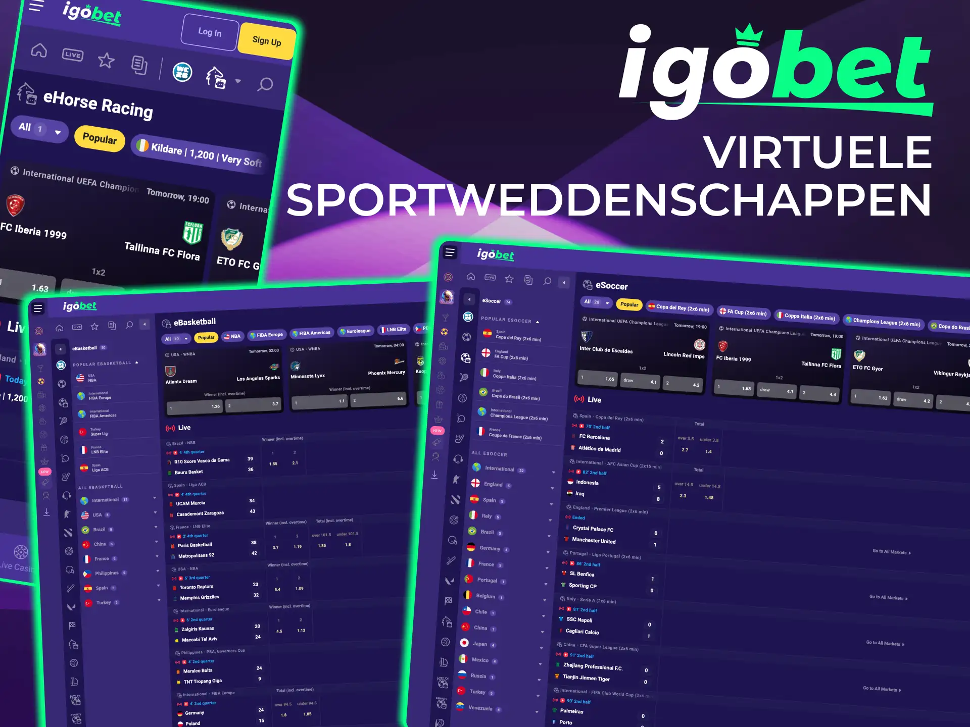 Virtuele markten IgoBet omvat voetbal, paarden, hondenraces en basketbal.