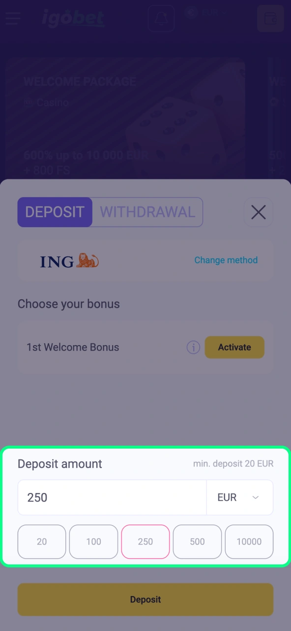 Bankrekening kiezen bij IgoBet met juiste valuta.